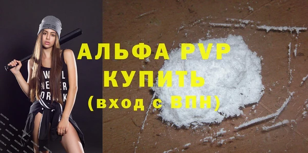 индика Абаза