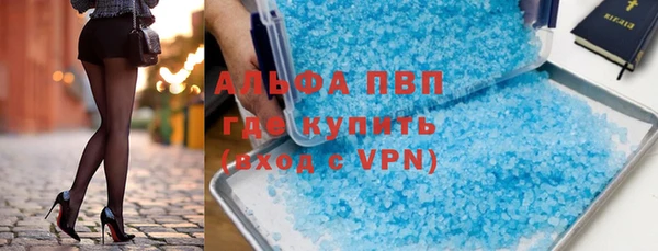 индика Абаза