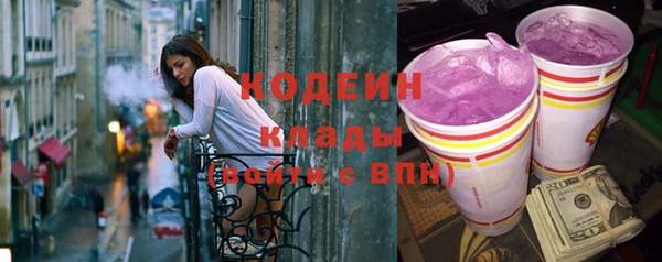 индика Абаза