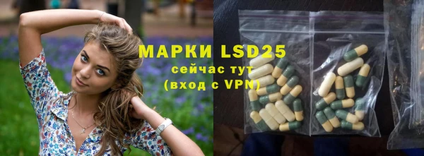 индика Абаза